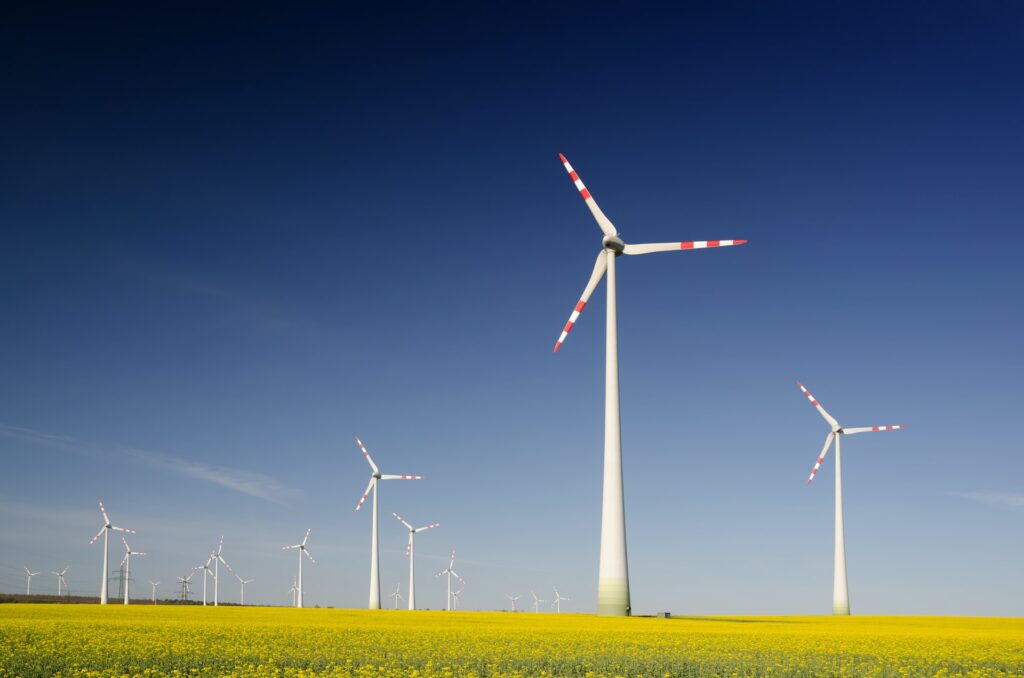What are the benefits of using renewable energy?