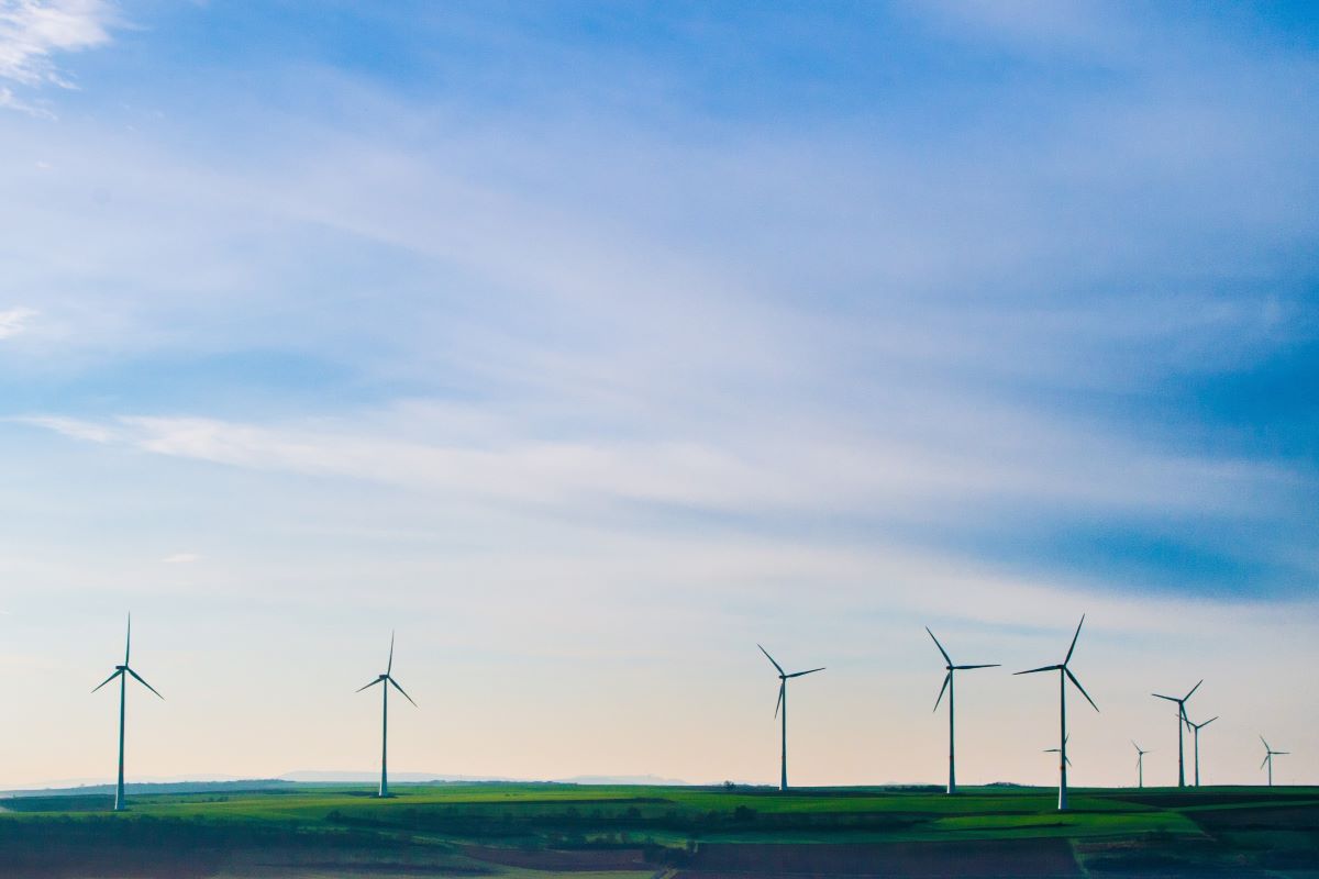 Wind turbines in a field
