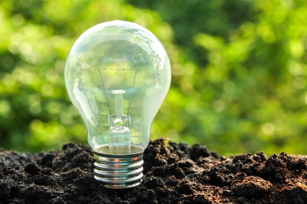 Sustainability management light bulb in the ground