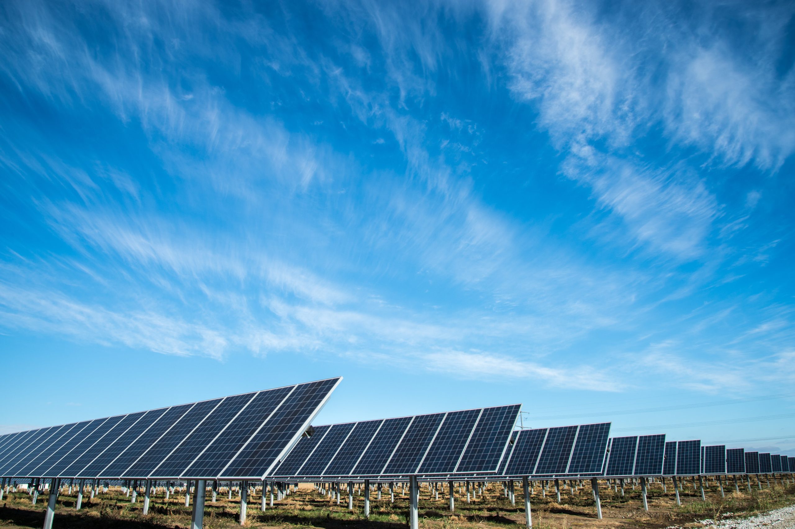Solar panels in a field