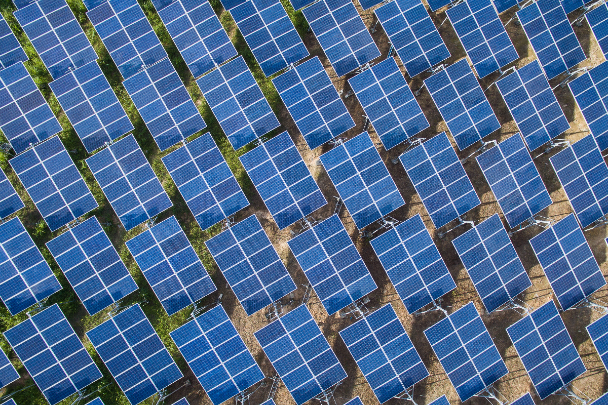Solar panels in a solar farm lined up in a field
