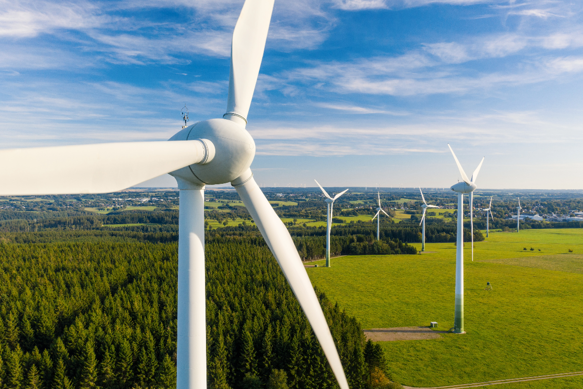 A wind farm in a field
